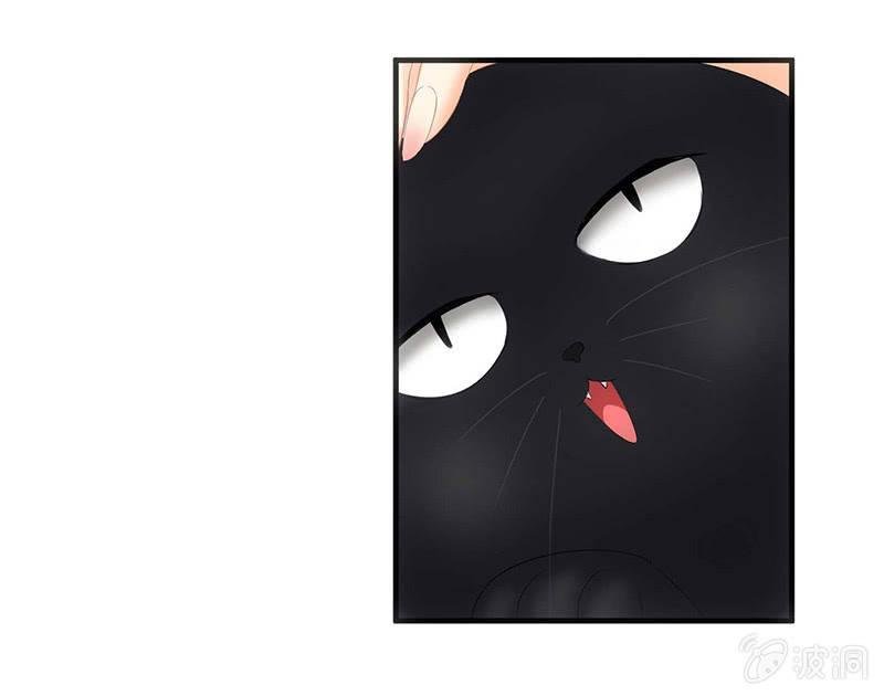 猫咪神助攻来也！！！
