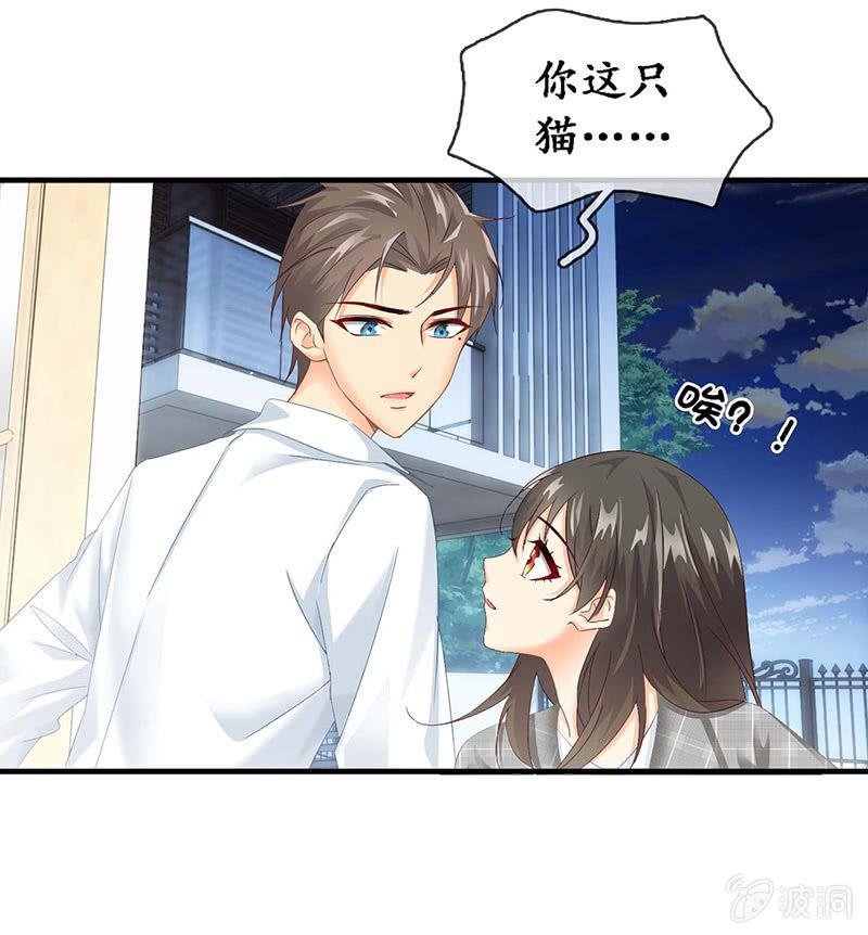 猫咪神助攻来也！！！