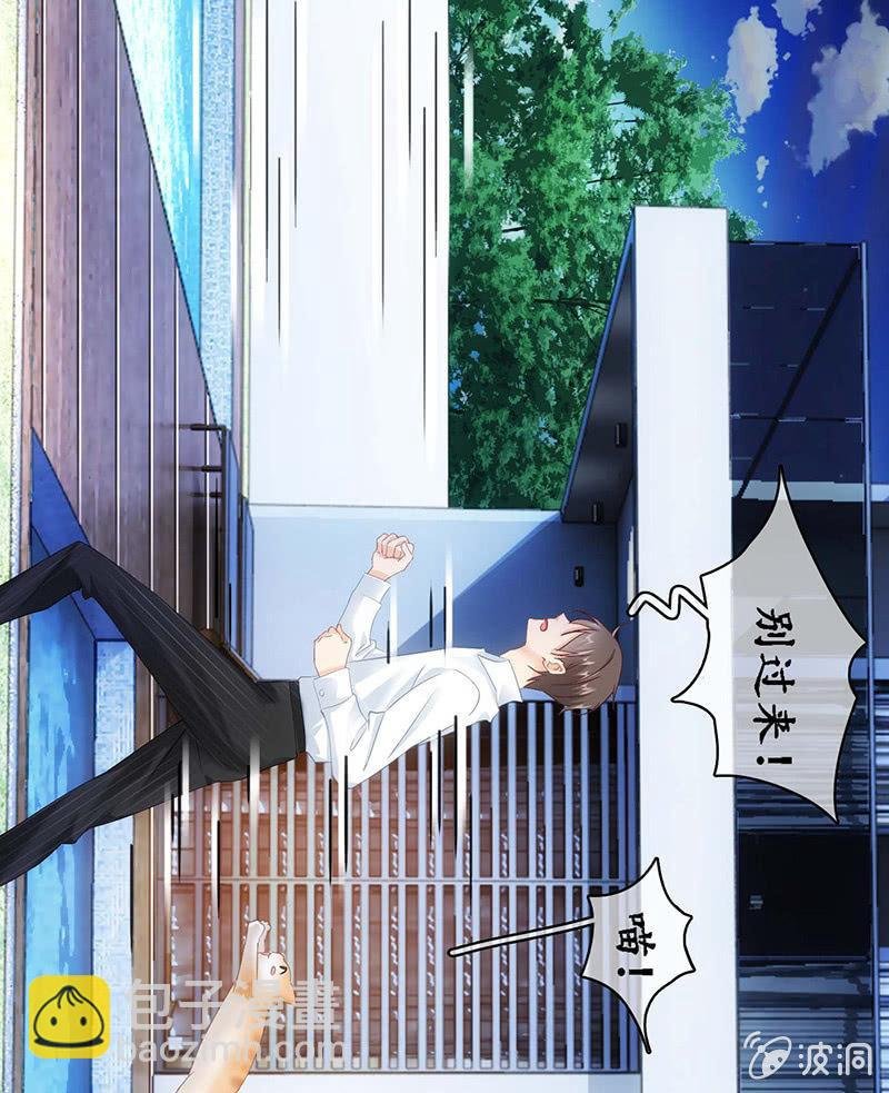 猫咪神助攻来也！！！