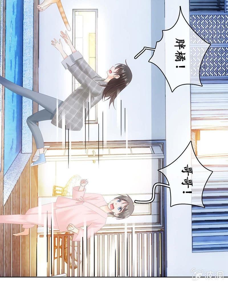 猫咪神助攻来也！！！