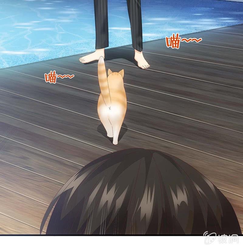 猫咪神助攻来也！！！