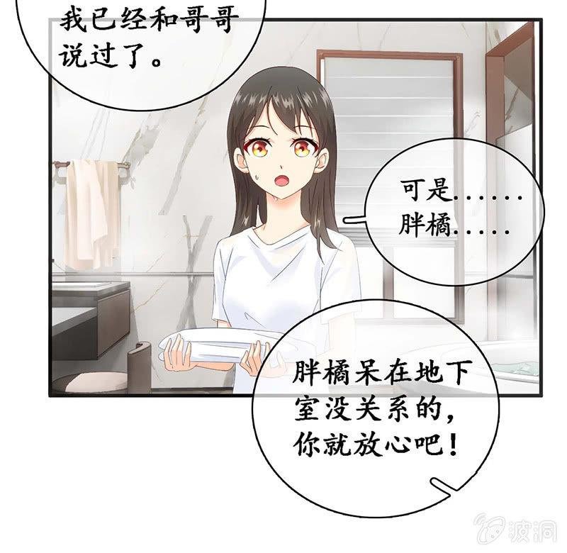 猫咪神助攻来也！！！