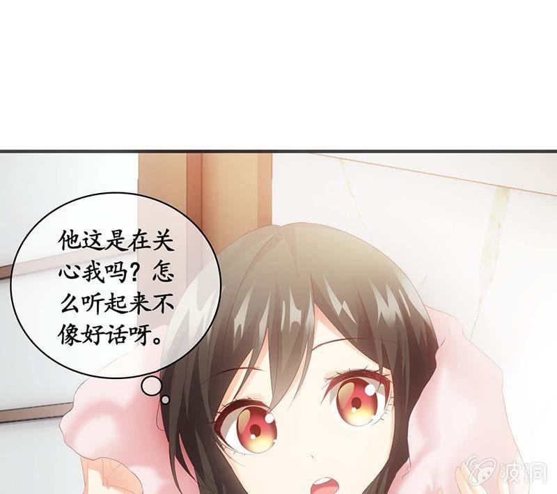 猫咪神助攻来也！！！