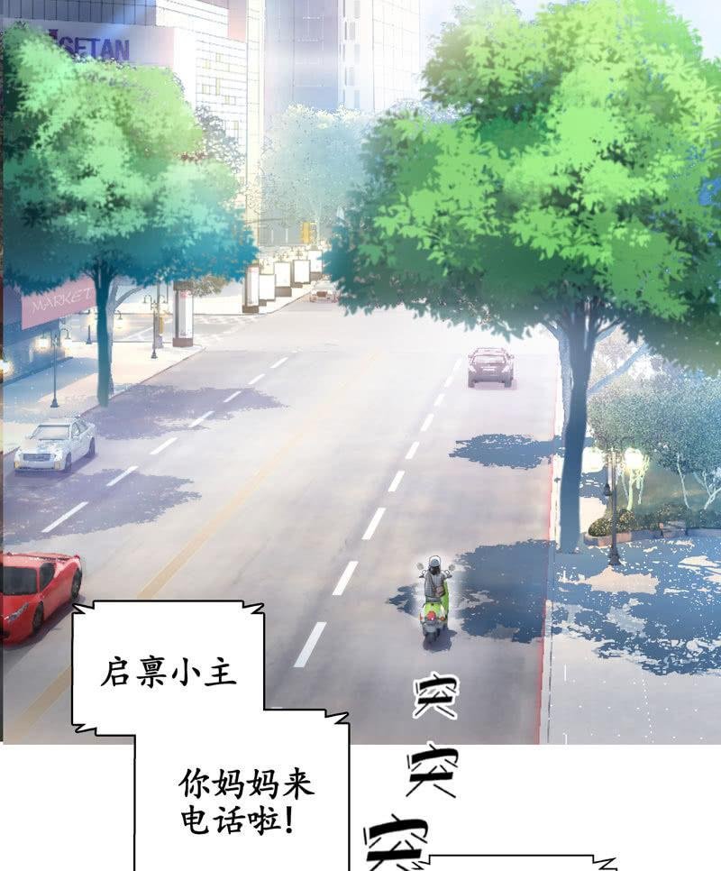 主人在哪里啊？