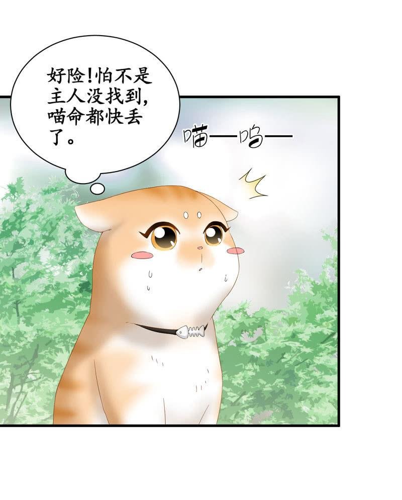 主人在哪里啊？