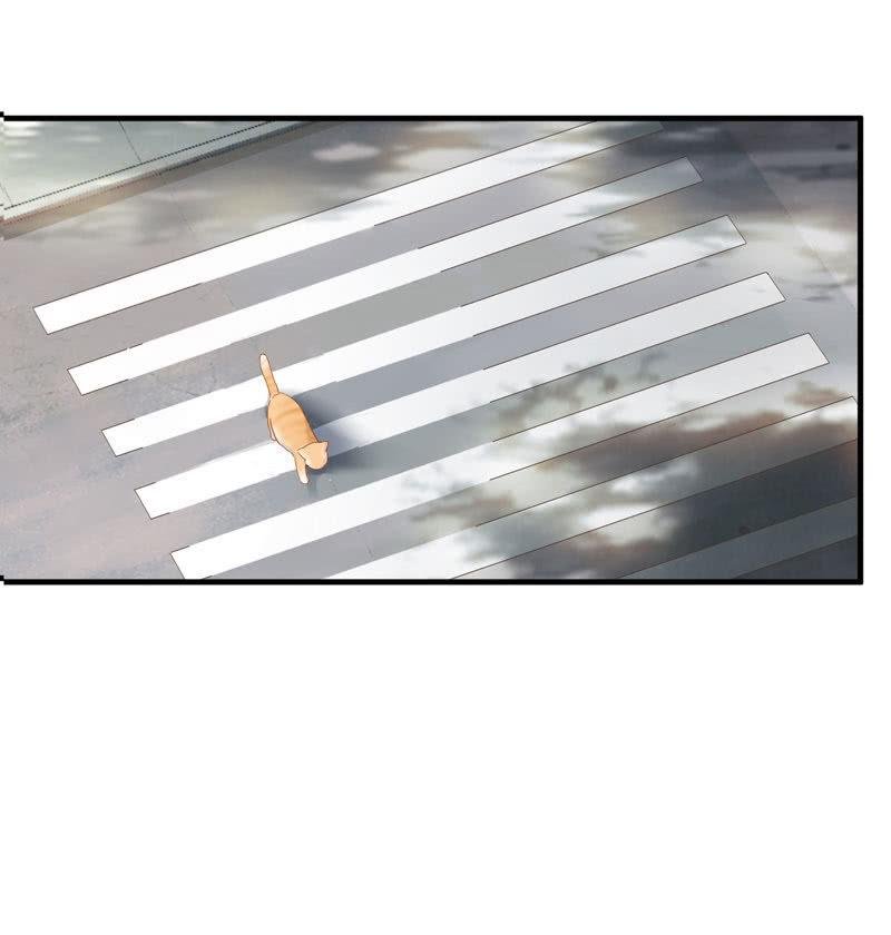 主人在哪里啊？