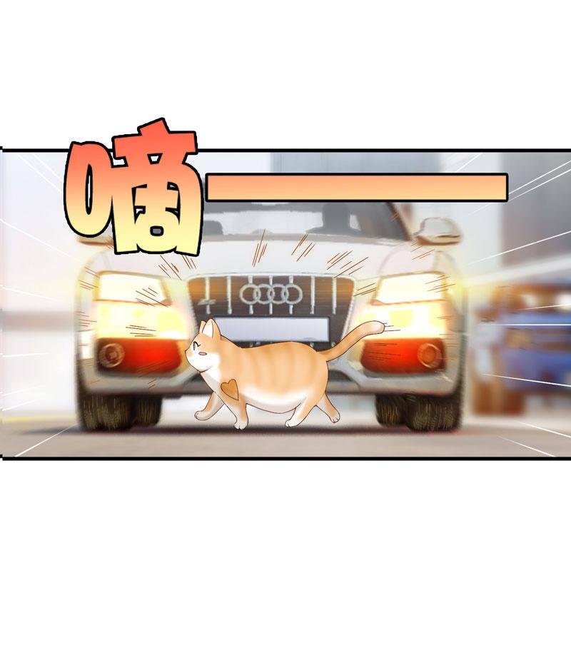 主人在哪里啊？