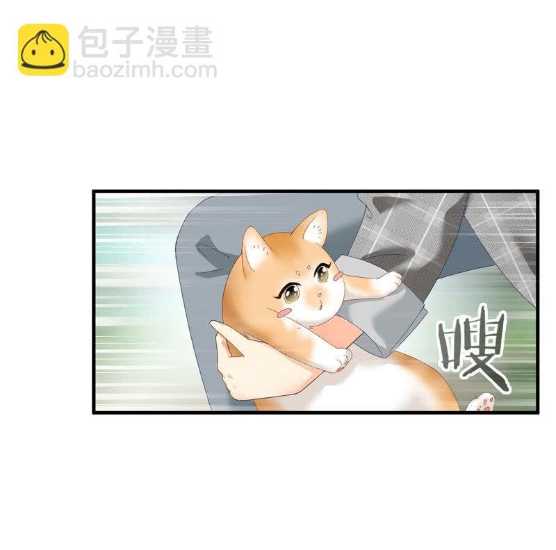 主人在哪里啊？