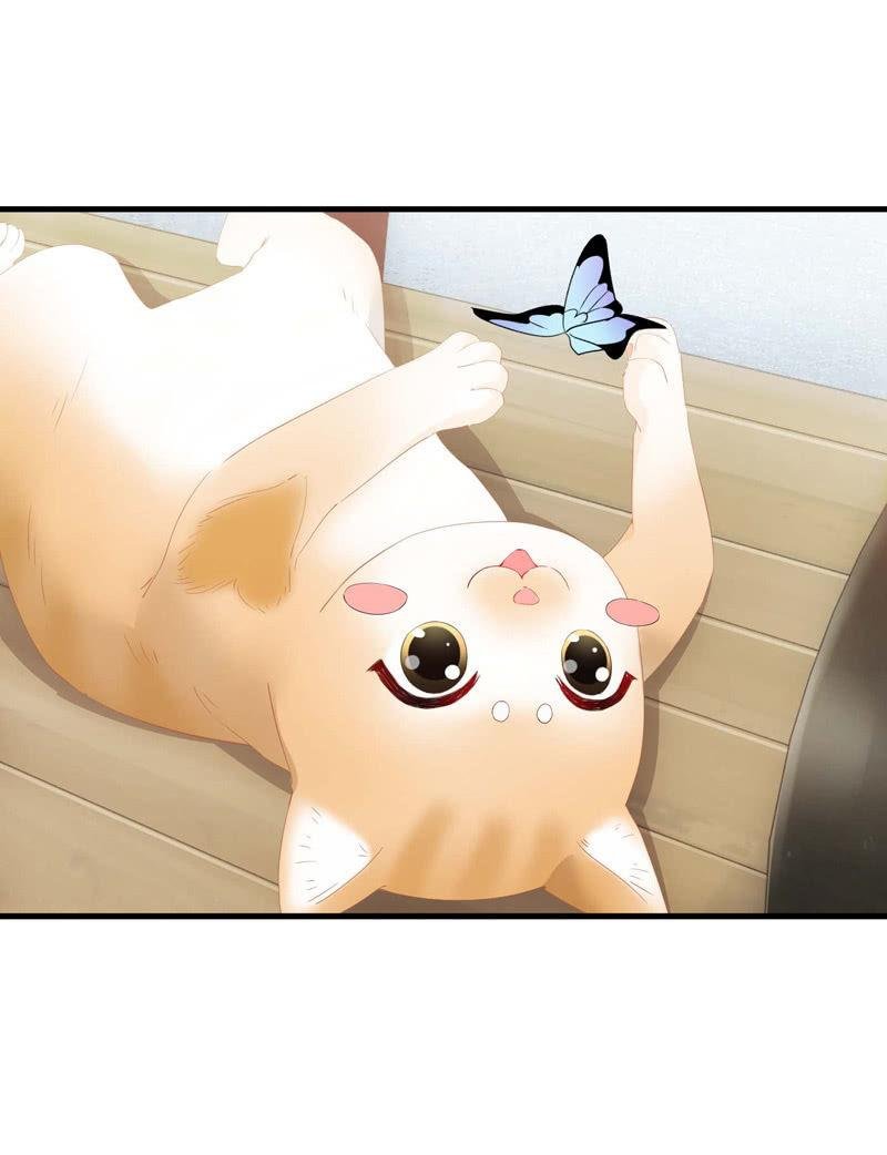 妹妹陷入危机了
