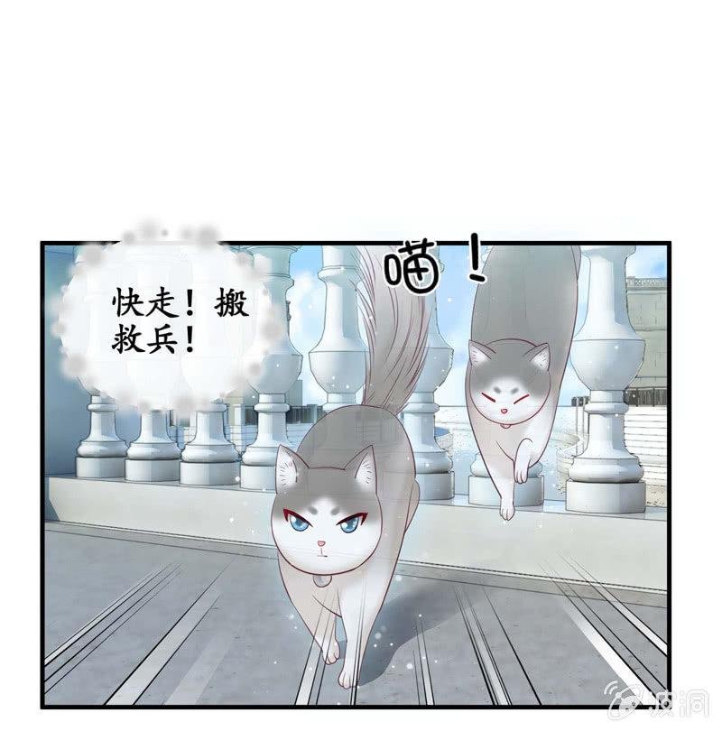 妹妹陷入危机了