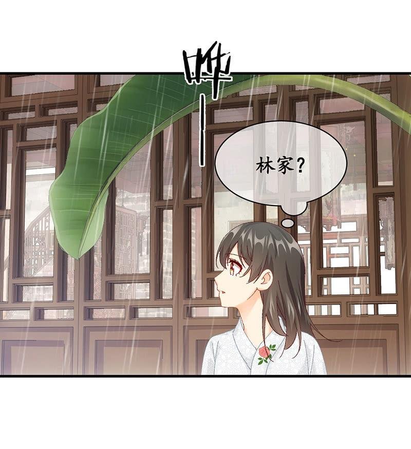 父母的过往