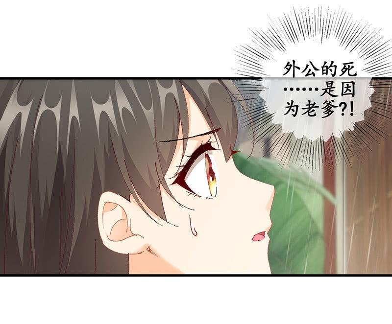 父母的过往