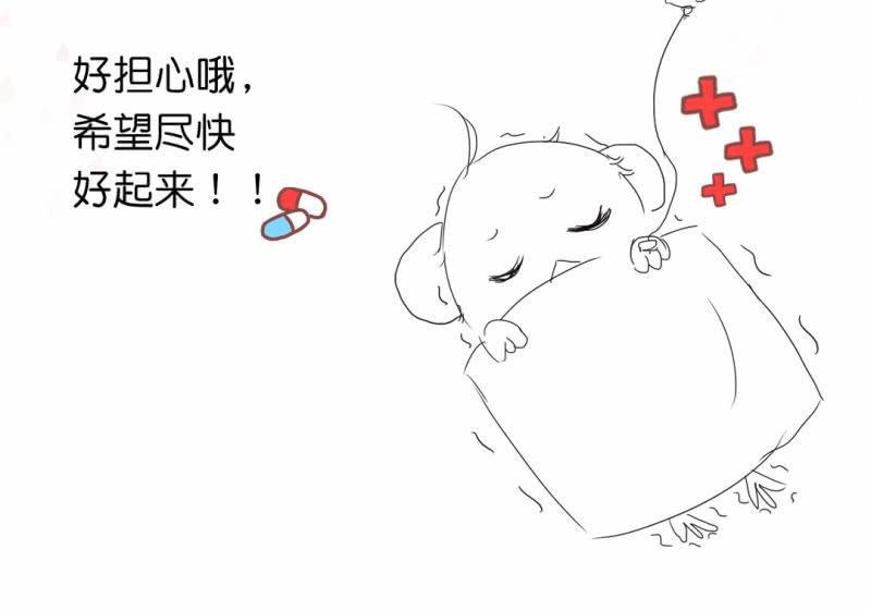 请假公告