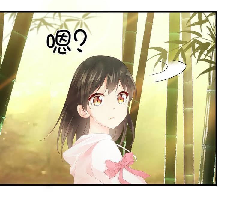 你愿意和我走吗？