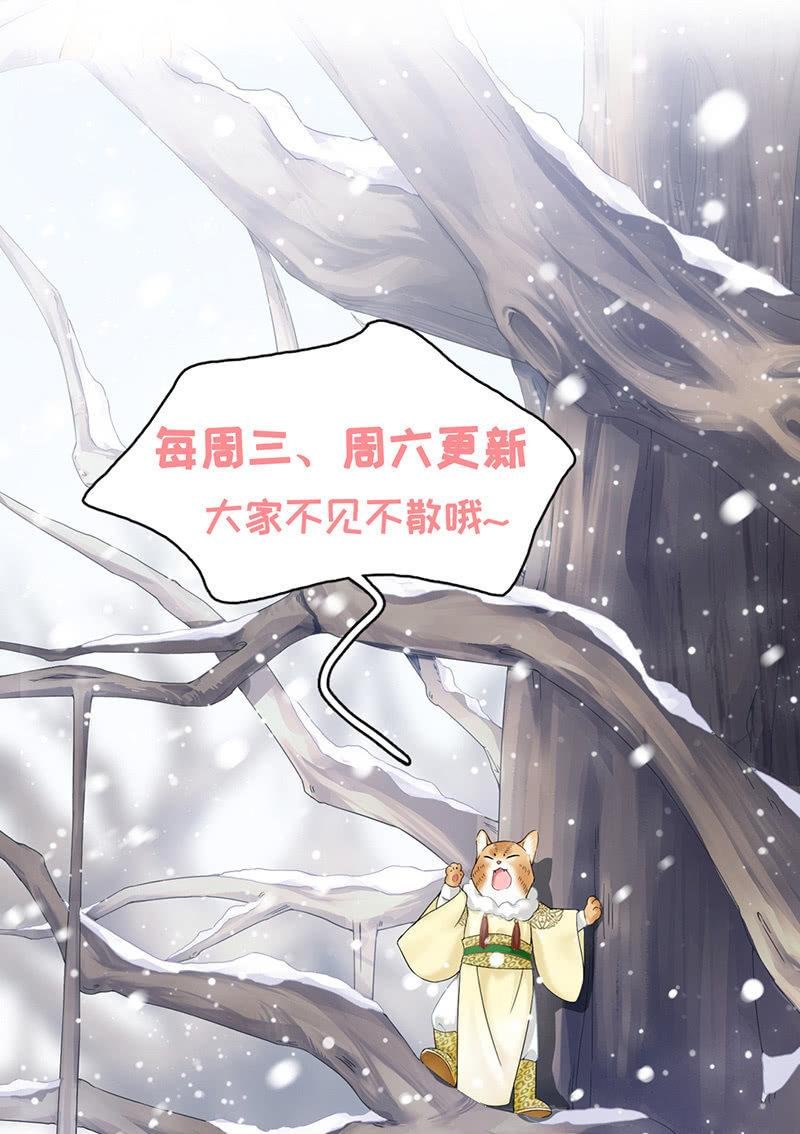 曾舜的来访