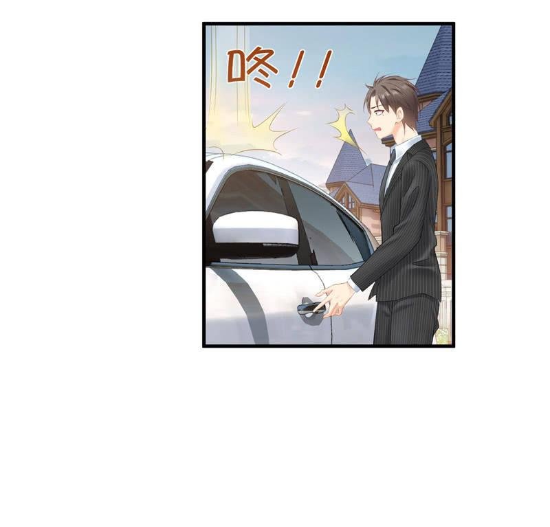 找到橘猫啦！