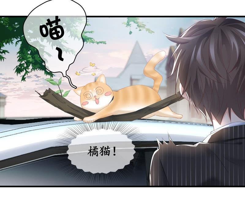 找到橘猫啦！