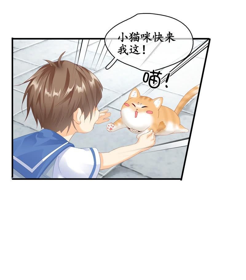 找到橘猫啦！