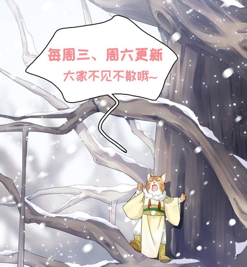 找到橘猫啦！