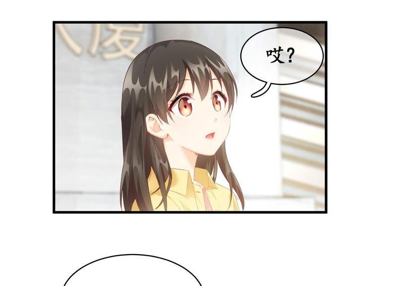 白辛的决定