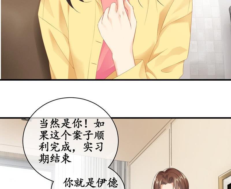 白辛的决定