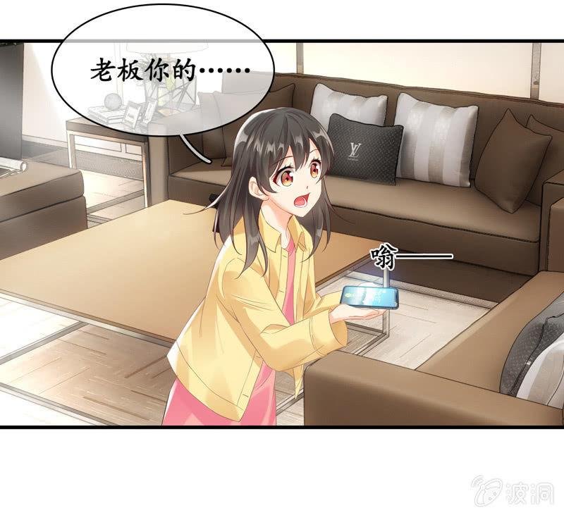 白辛的决定