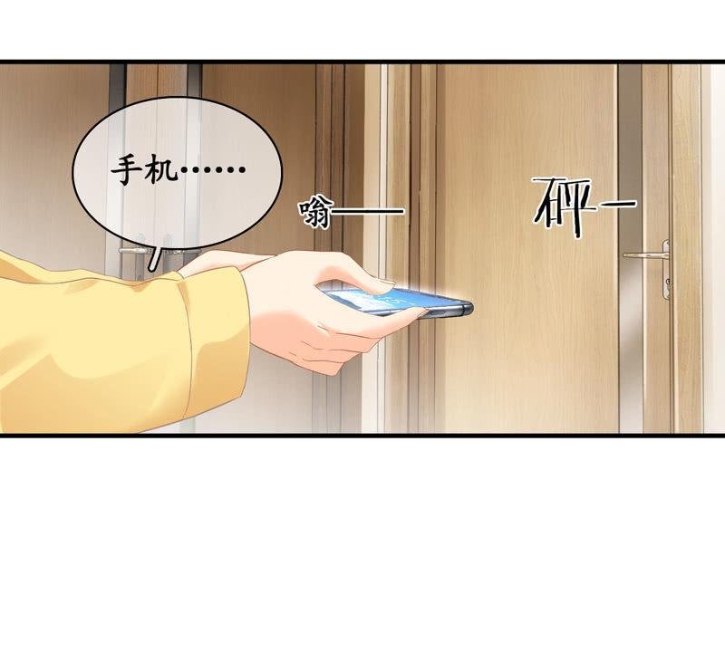 白辛的决定