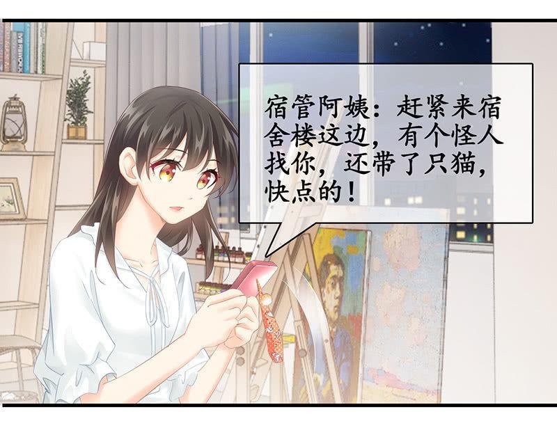 试探心意