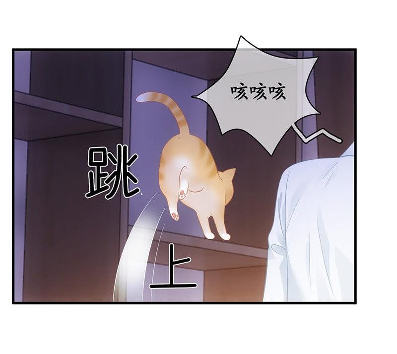 答案揭晓