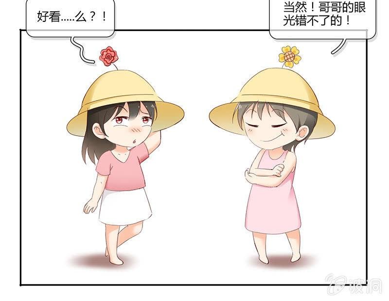家室命运的讨论