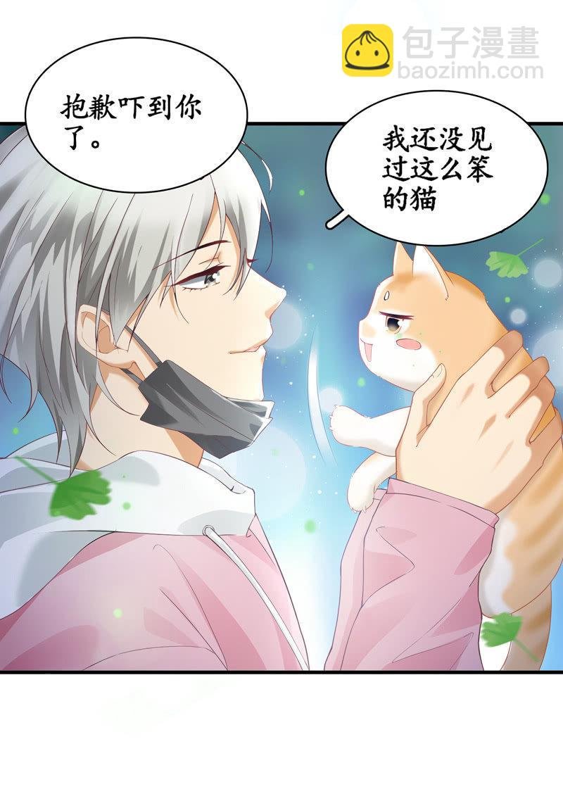 穷追不舍的家伙