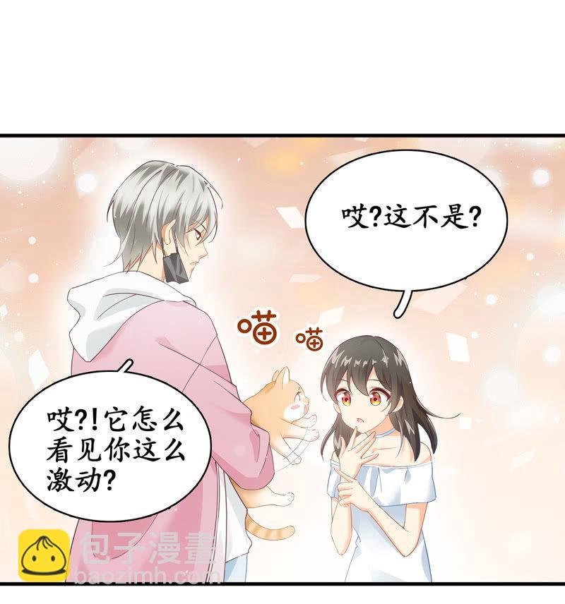 穷追不舍的家伙