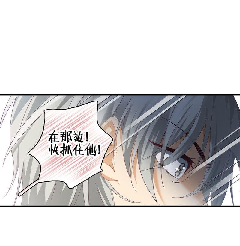 穷追不舍的家伙