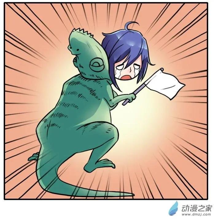 第11回