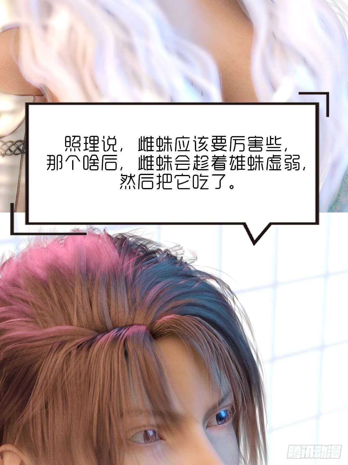 第十一章：雪蛛