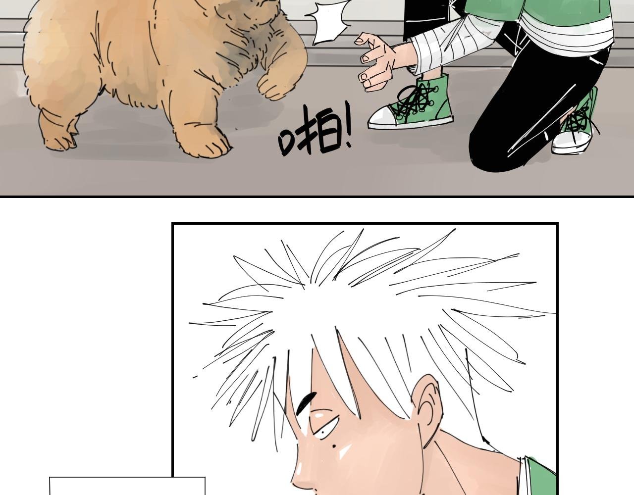 狗狗可是很聪明的动物啊