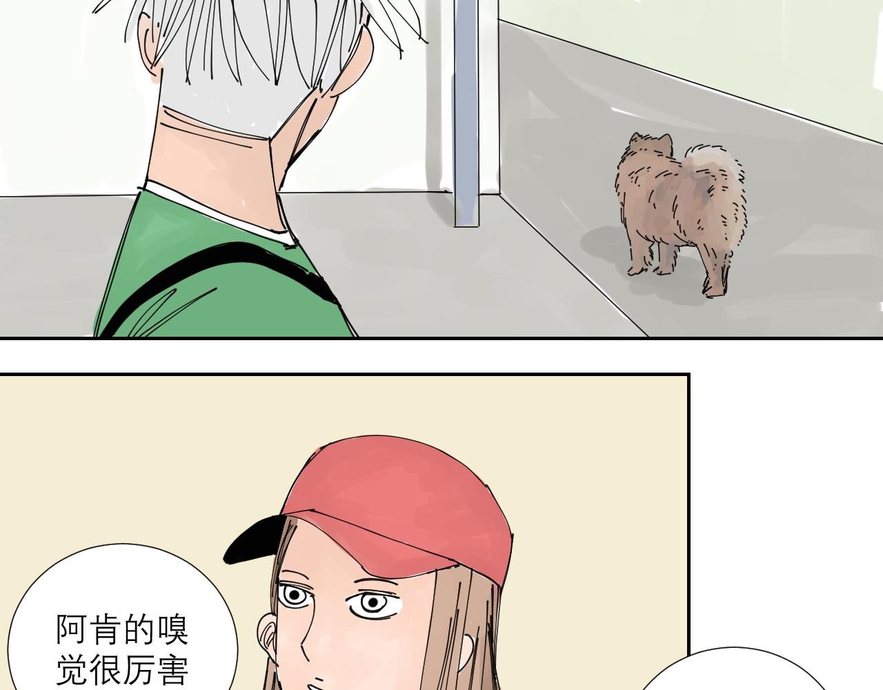 狗狗可是很聪明的动物啊