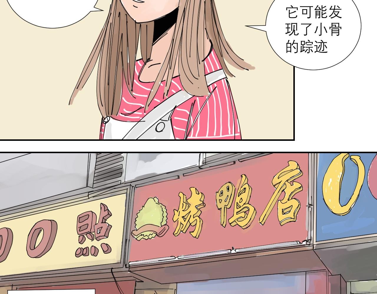 狗狗可是很聪明的动物啊