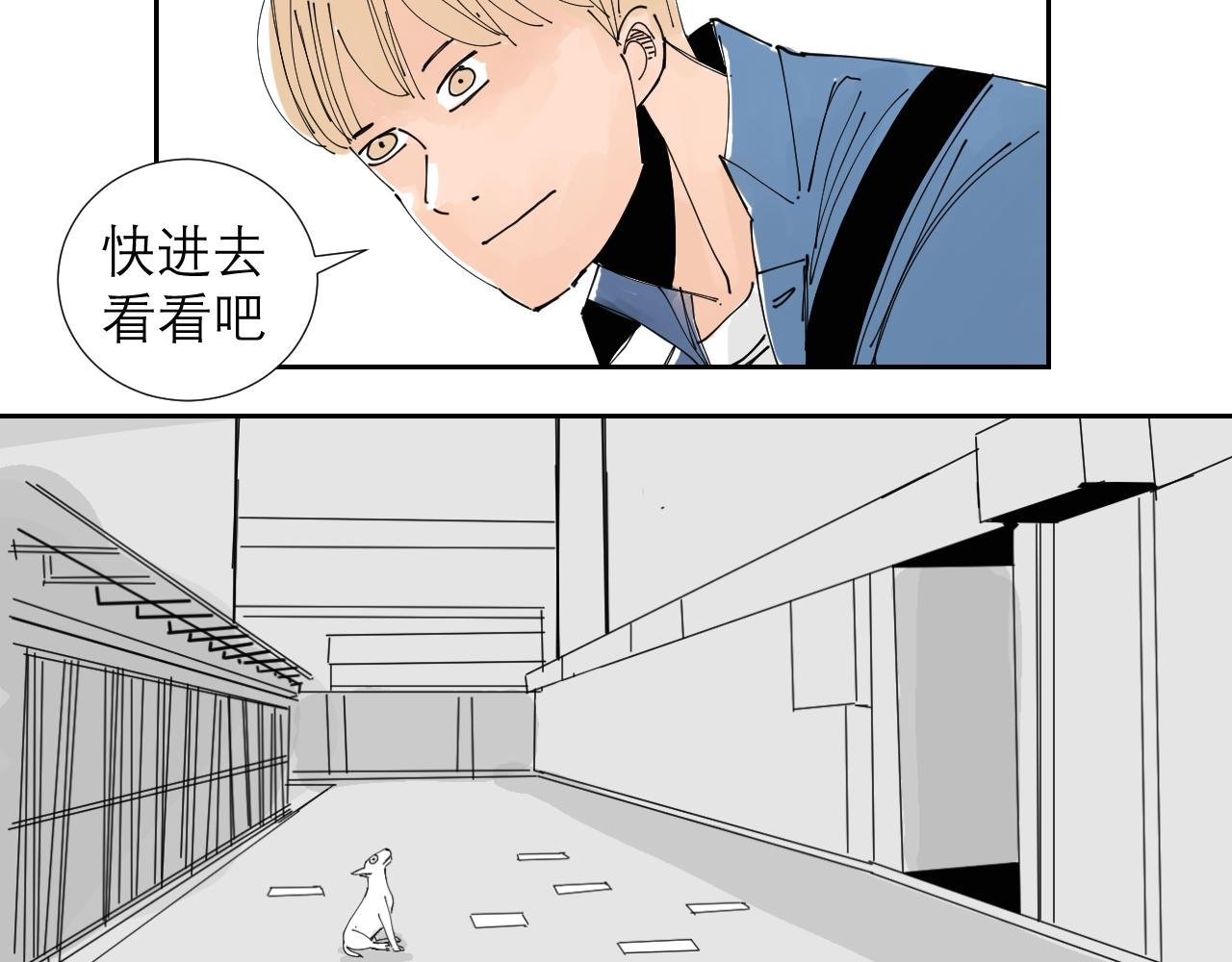 狗狗可是很聪明的动物啊