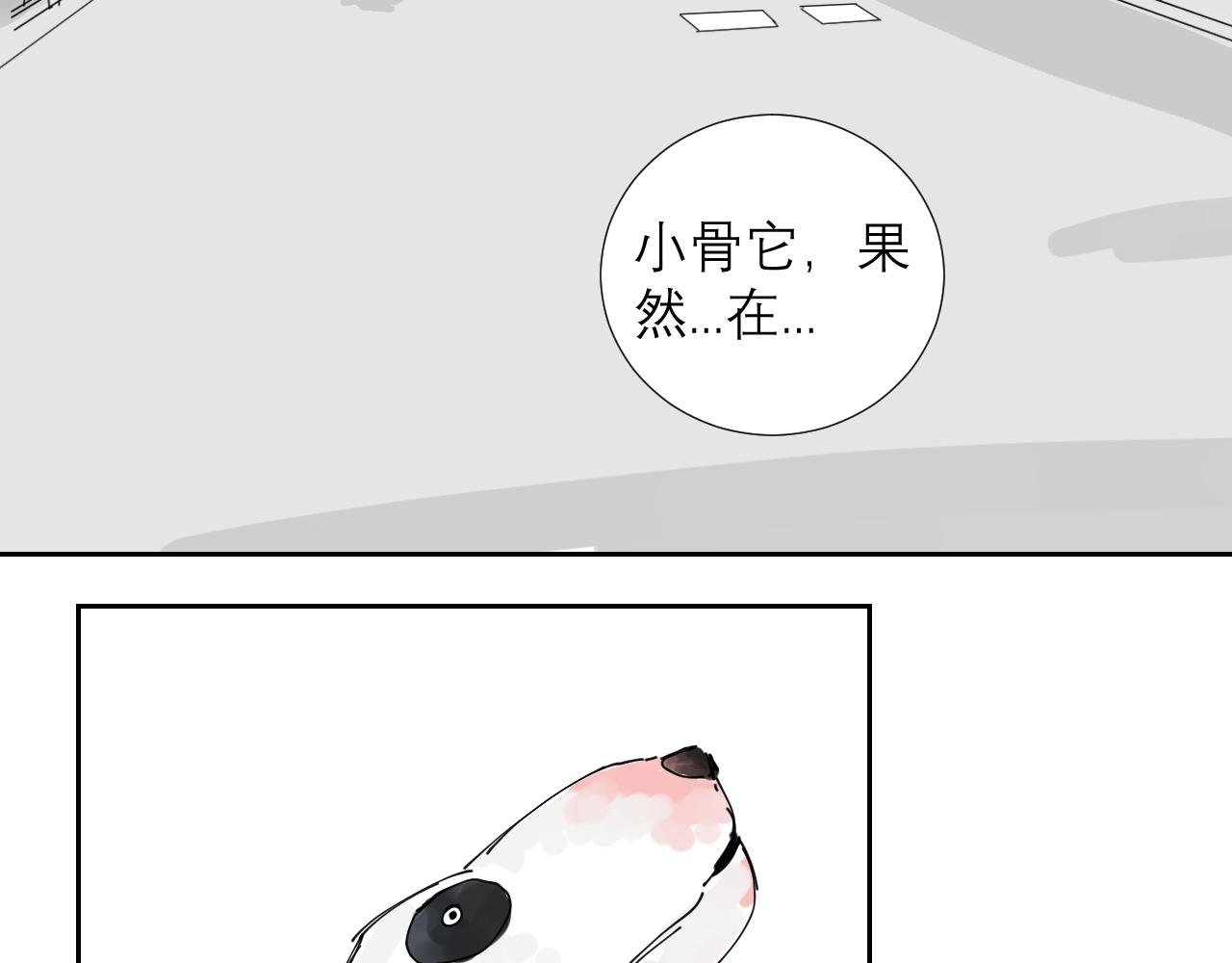 狗狗可是很聪明的动物啊