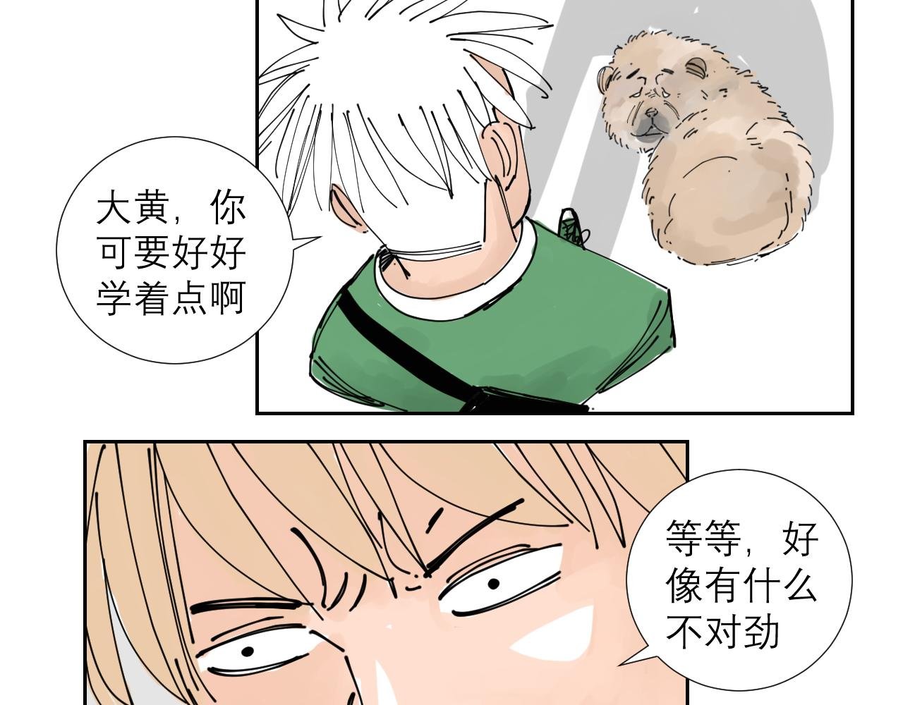 狗狗可是很聪明的动物啊