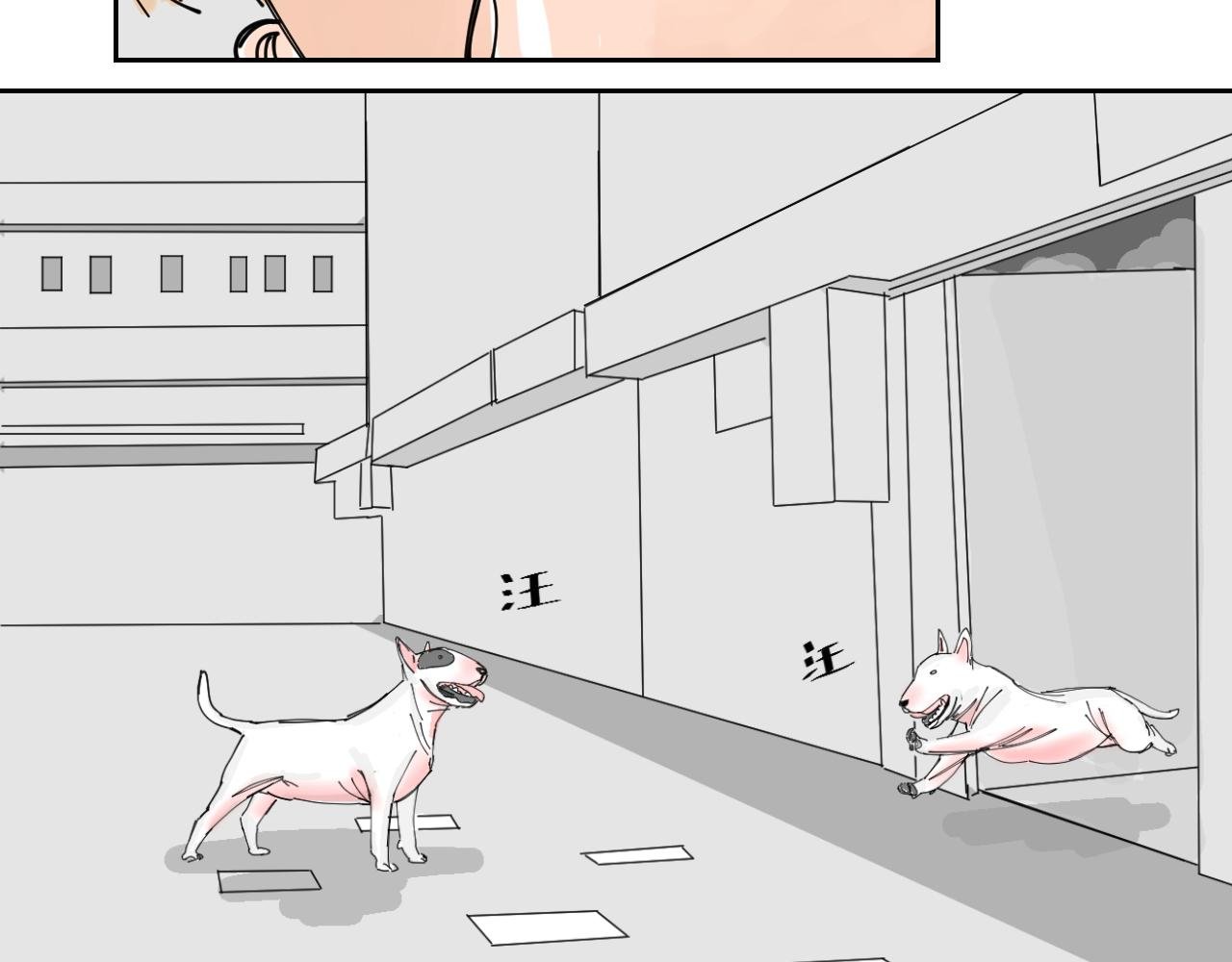 狗狗可是很聪明的动物啊
