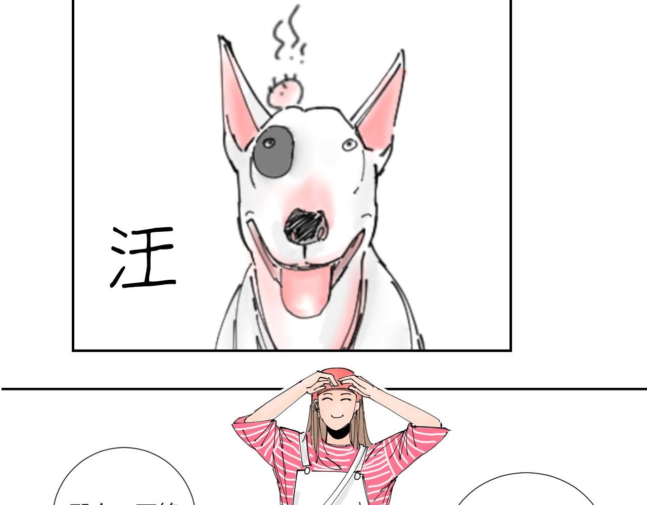 狗狗可是很聪明的动物啊