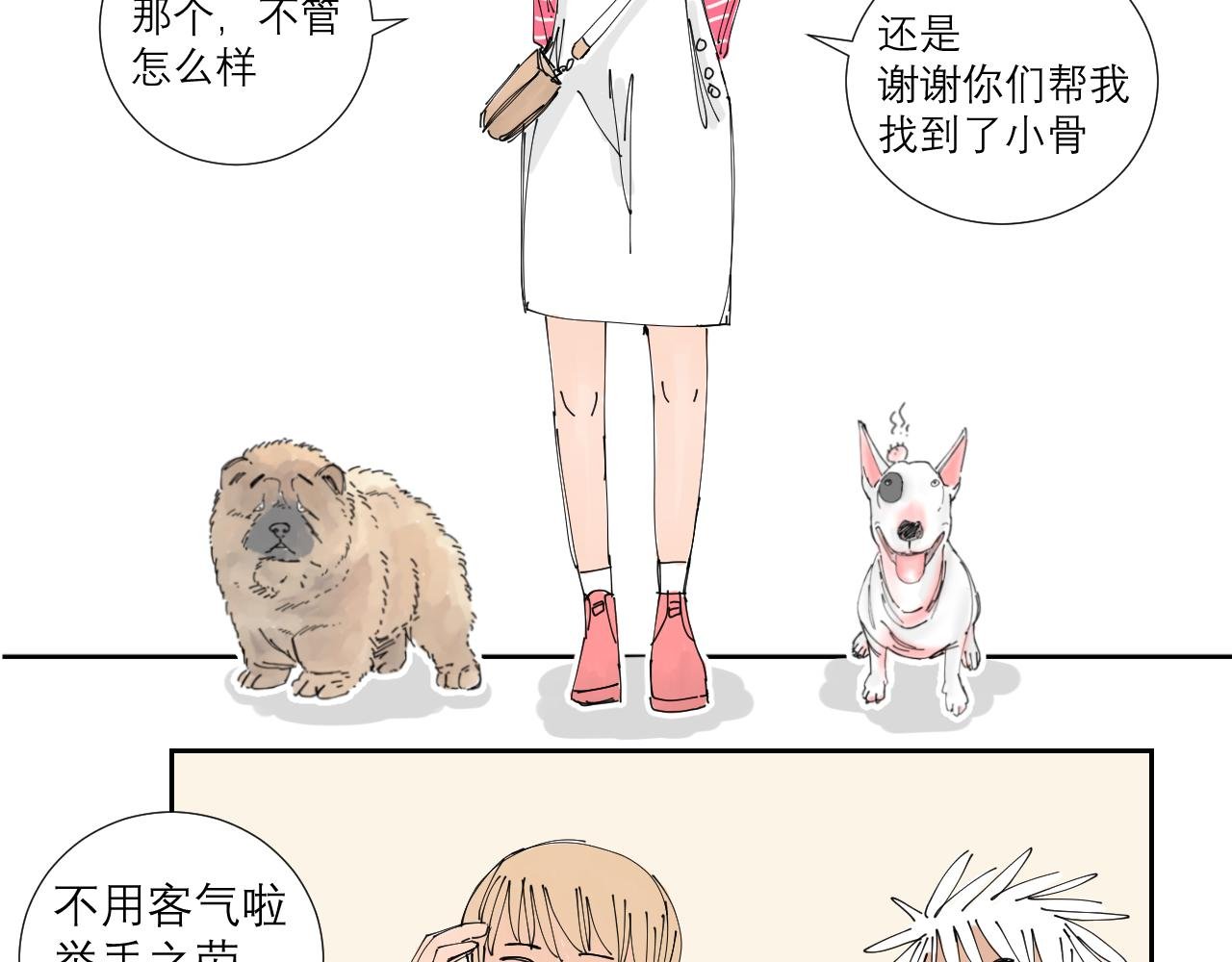 狗狗可是很聪明的动物啊
