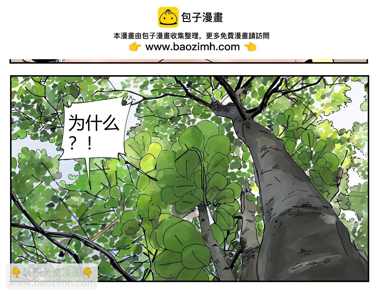 没讲完的故事