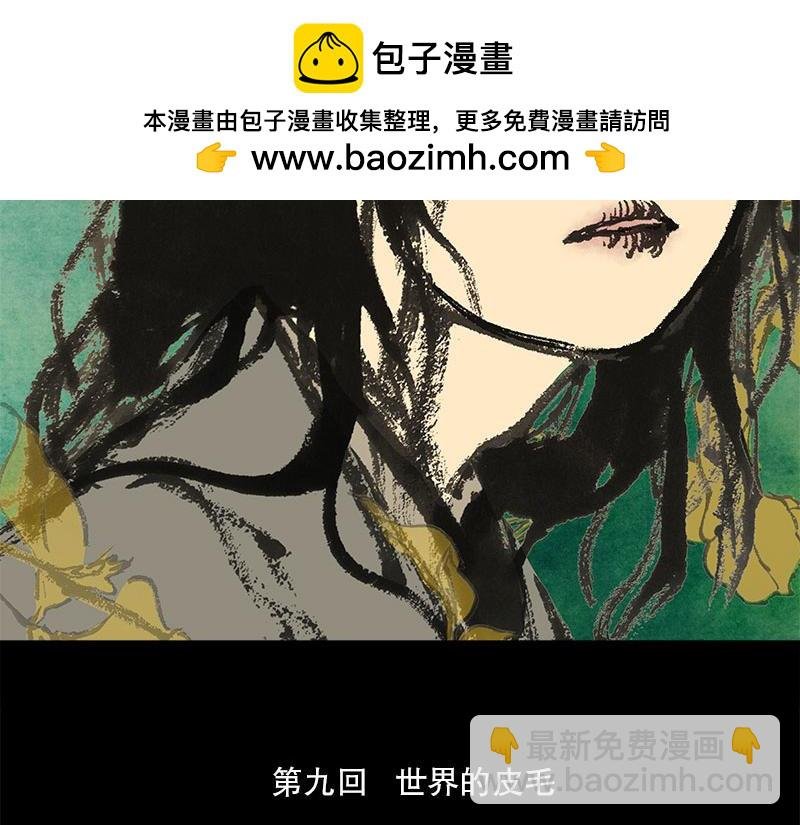 9 世界的皮毛