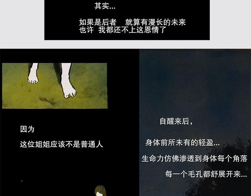 9 世界的皮毛