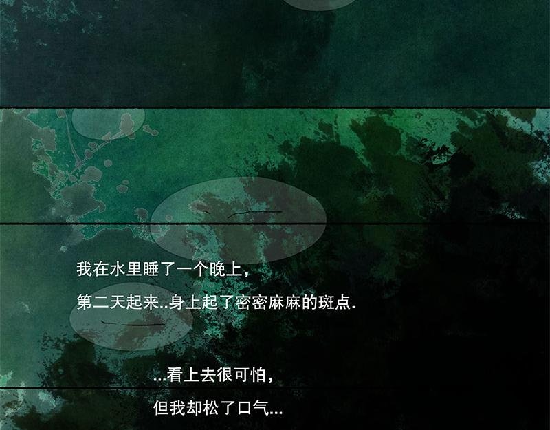 9 世界的皮毛