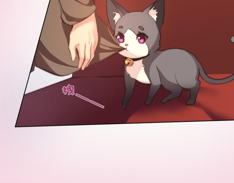 第8话 猫的报恩（下）