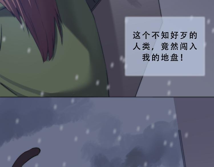 第8话 猫的报恩（下）